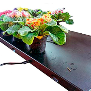hot-garden