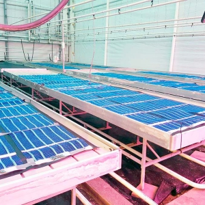 grid-vivai-2